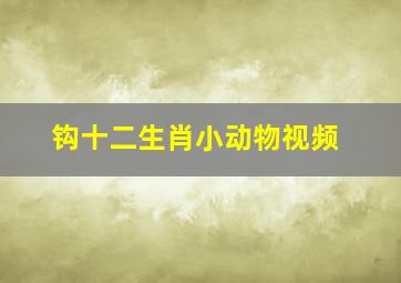 钩十二生肖小动物视频