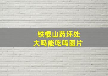 铁棍山药坏处大吗能吃吗图片