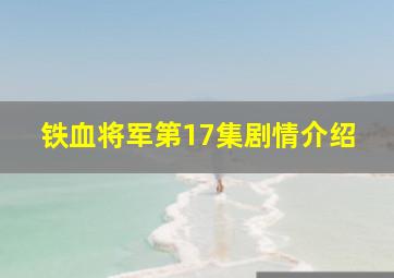 铁血将军第17集剧情介绍