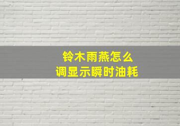 铃木雨燕怎么调显示瞬时油耗