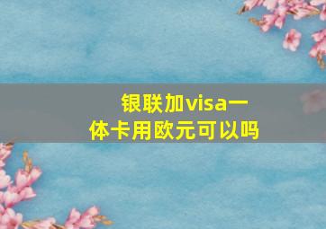 银联加visa一体卡用欧元可以吗