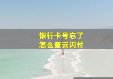 银行卡号忘了怎么查云闪付