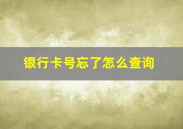 银行卡号忘了怎么查询