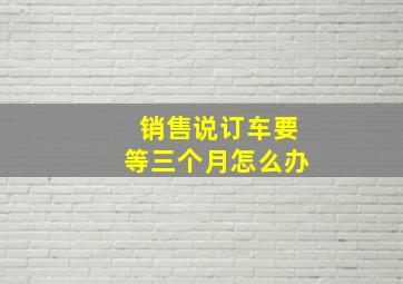 销售说订车要等三个月怎么办