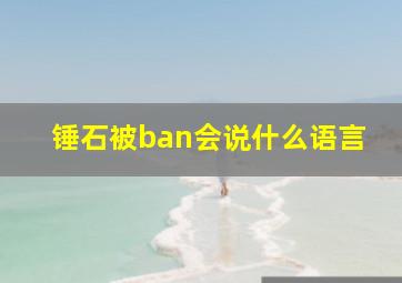 锤石被ban会说什么语言