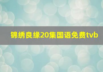 锦绣良缘20集国语免费tvb