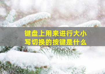 键盘上用来进行大小写切换的按键是什么