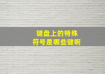 键盘上的特殊符号是哪些键啊