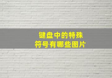 键盘中的特殊符号有哪些图片