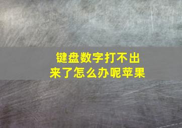 键盘数字打不出来了怎么办呢苹果