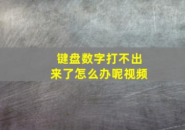 键盘数字打不出来了怎么办呢视频