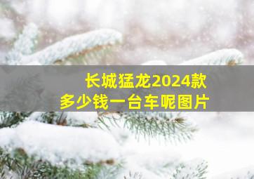 长城猛龙2024款多少钱一台车呢图片