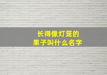 长得像灯笼的果子叫什么名字