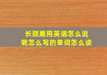 长颈鹿用英语怎么说呢怎么写的单词怎么读