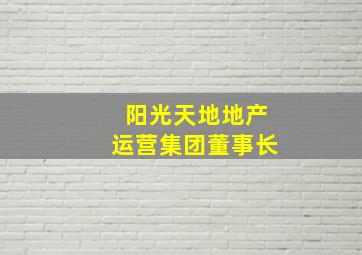 阳光天地地产运营集团董事长