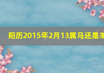 阳历2015年2月13属马还是羊