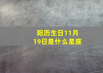 阳历生日11月19日是什么星座