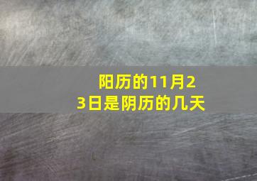 阳历的11月23日是阴历的几天