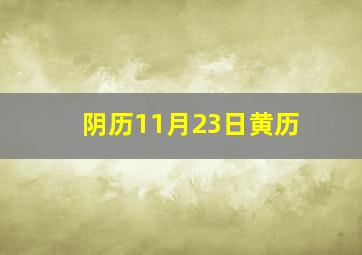 阴历11月23日黄历