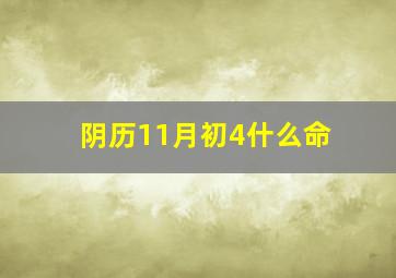 阴历11月初4什么命