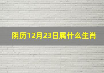 阴历12月23日属什么生肖