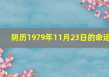 阴历1979年11月23日的命运