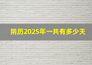 阴历2025年一共有多少天