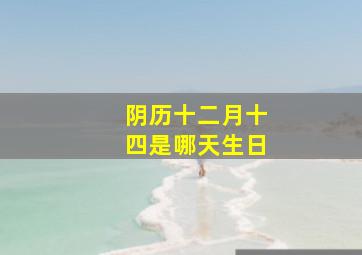 阴历十二月十四是哪天生日