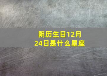 阴历生日12月24日是什么星座