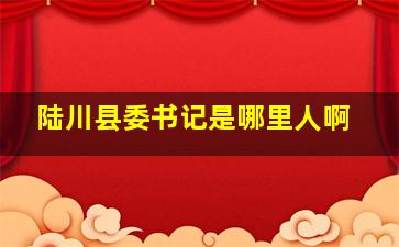 陆川县委书记是哪里人啊