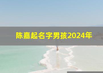 陈嘉起名字男孩2024年