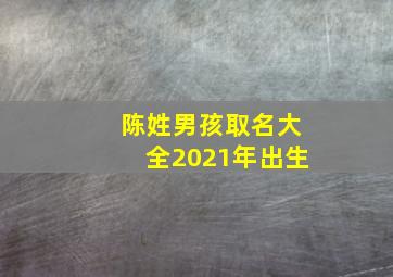 陈姓男孩取名大全2021年出生