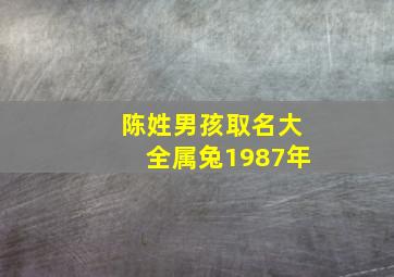 陈姓男孩取名大全属兔1987年