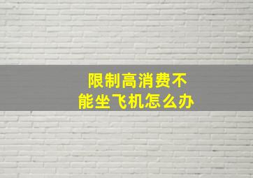 限制高消费不能坐飞机怎么办