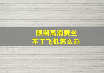 限制高消费坐不了飞机怎么办