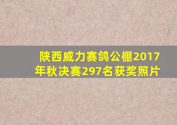 陕西威力赛鸽公棚2017年秋决赛297名获奖照片