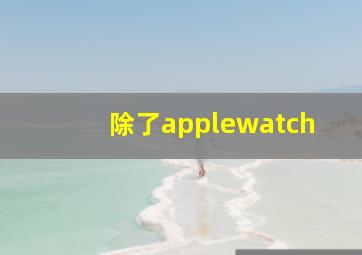 除了applewatch