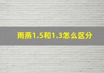 雨燕1.5和1.3怎么区分