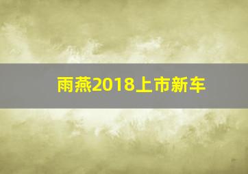 雨燕2018上市新车