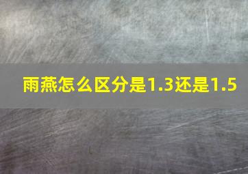 雨燕怎么区分是1.3还是1.5