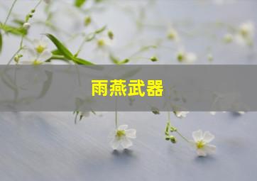 雨燕武器