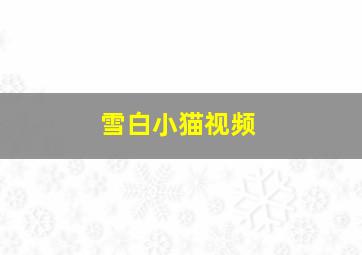 雪白小猫视频