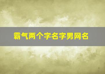 霸气两个字名字男网名