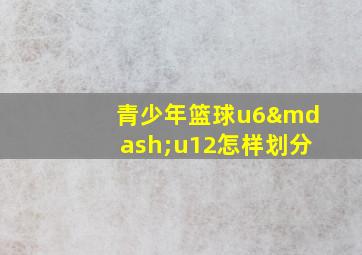 青少年篮球u6—u12怎样划分