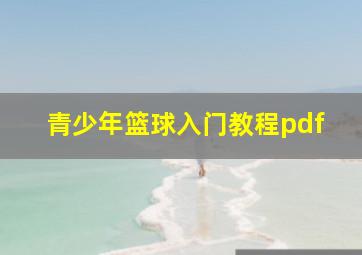 青少年篮球入门教程pdf