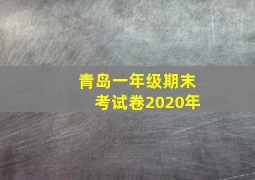 青岛一年级期末考试卷2020年