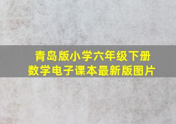 青岛版小学六年级下册数学电子课本最新版图片