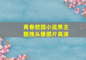 青春校园小说男主酷拽头像图片高清