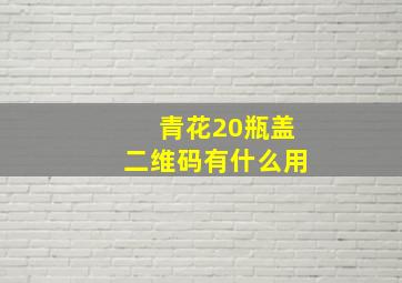 青花20瓶盖二维码有什么用