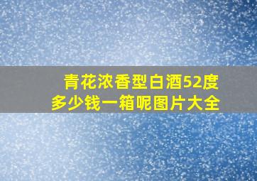 青花浓香型白酒52度多少钱一箱呢图片大全